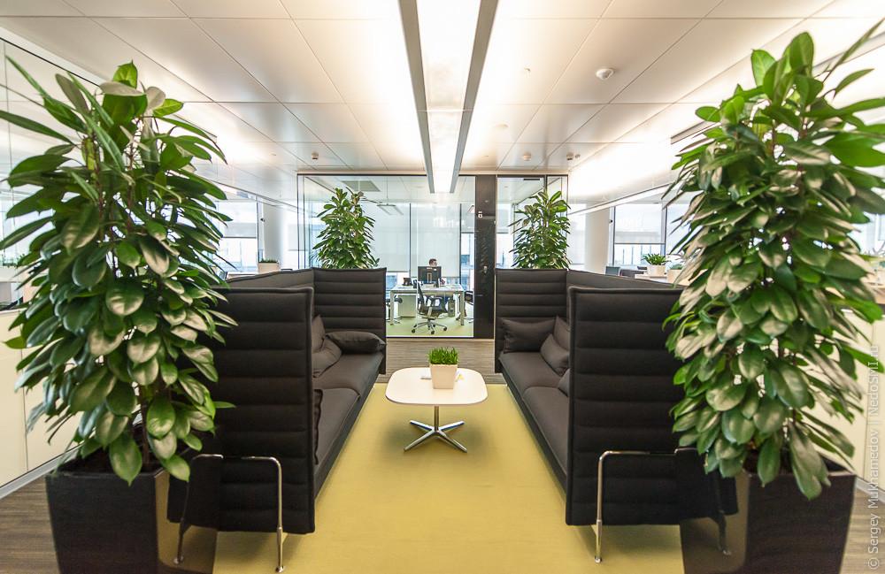 Вертикальное озеленение в офисном пространстве. Возможность для творчества и снижения затрат на реновацию помещения